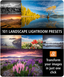 landscape-presets-600x727